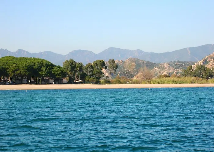 Oleandro * ロッツォラーイ