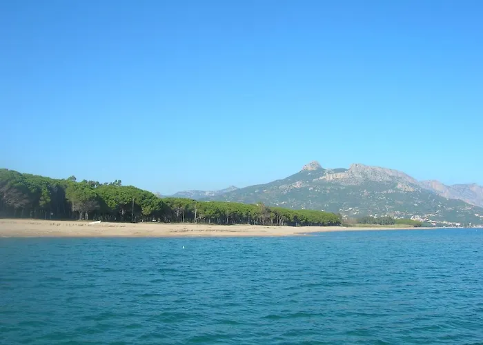 Oleandro アパート *