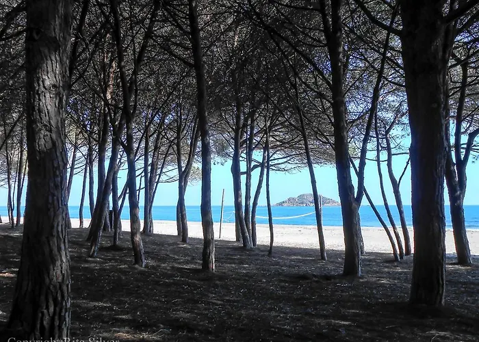 Oleandro ロッツォラーイ