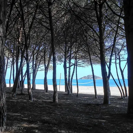 Oleandro 로초라이